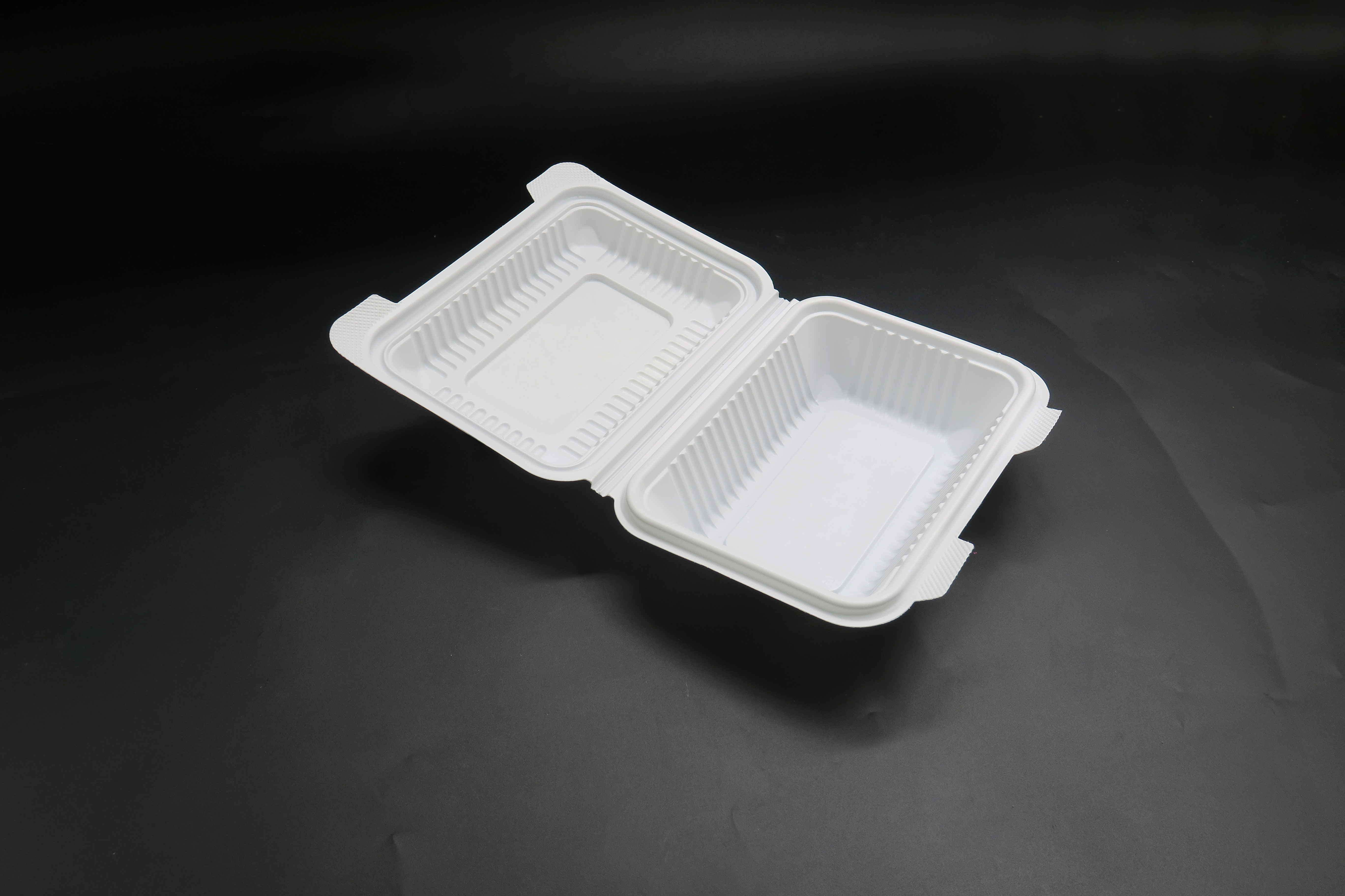 Packen Sie eine Lunchbox aus Kunststoff mit Klappdeckel zum Mitnehmen ein
