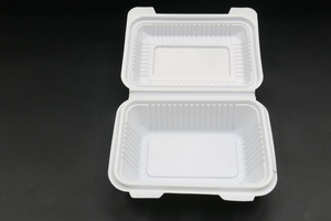 Packen Sie eine Lunchbox aus Kunststoff mit Klappdeckel zum Mitnehmen ein