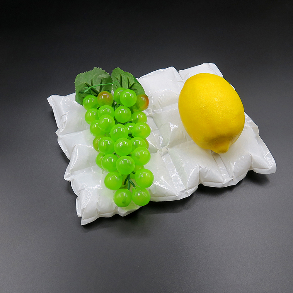 Eisbeutel-Gel-Eispads für frische Lebensmittel, gefrorene Transportfrüchte, Meeresfrüchte, gekochte Lebensmittel