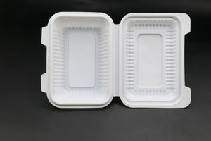 Einweg-Lunchbox für die Gastronomie, umweltfreundliche Lebensmittelbehälter