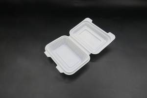 ECO-Clamshell-Zuckerrohr-Teller-Verpackungs-Lunchboxen